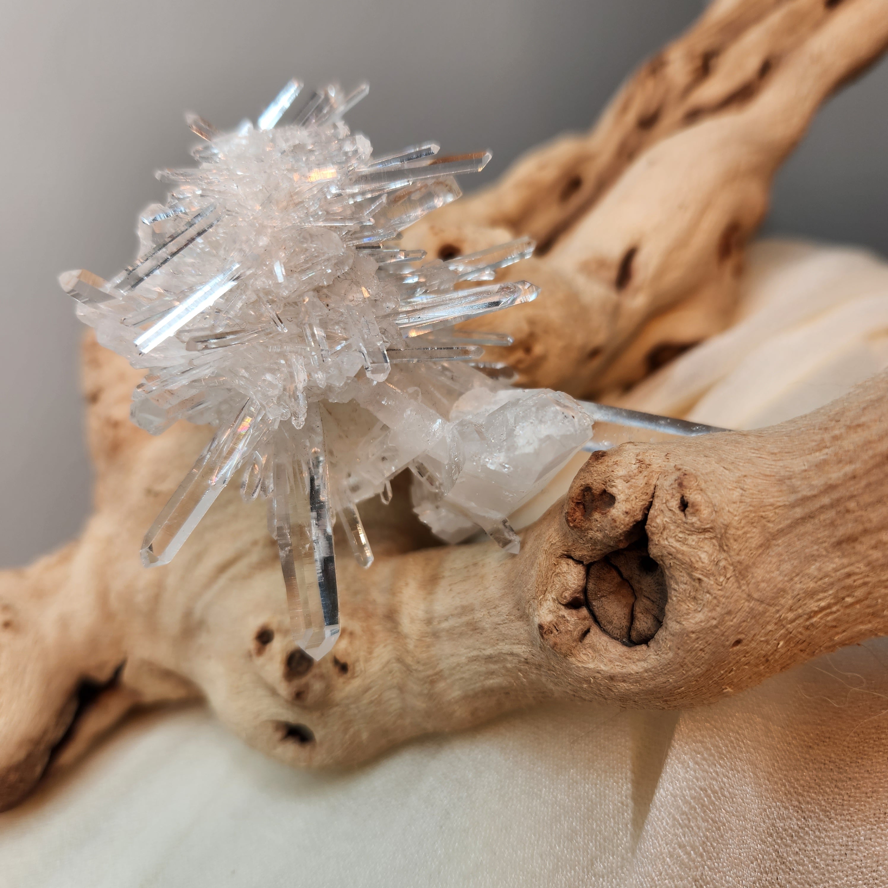 Crystals + Minerals