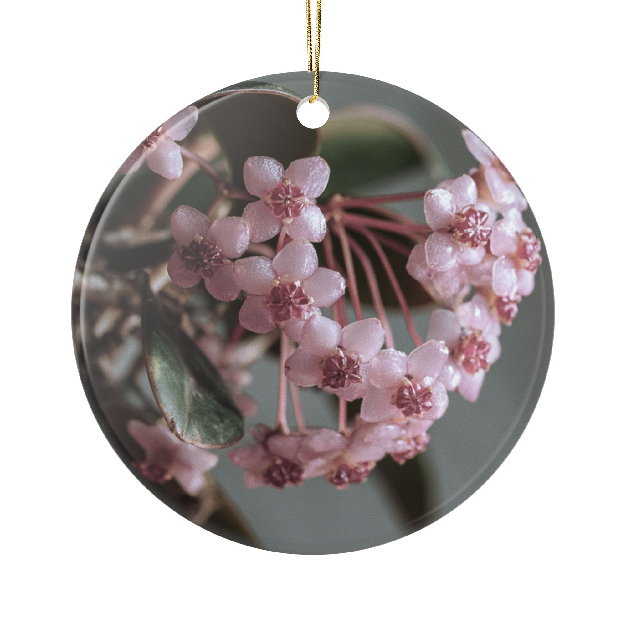Hoya Blooms Ceramic Ornament