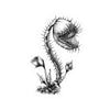 Venus Fly Trap Sticker