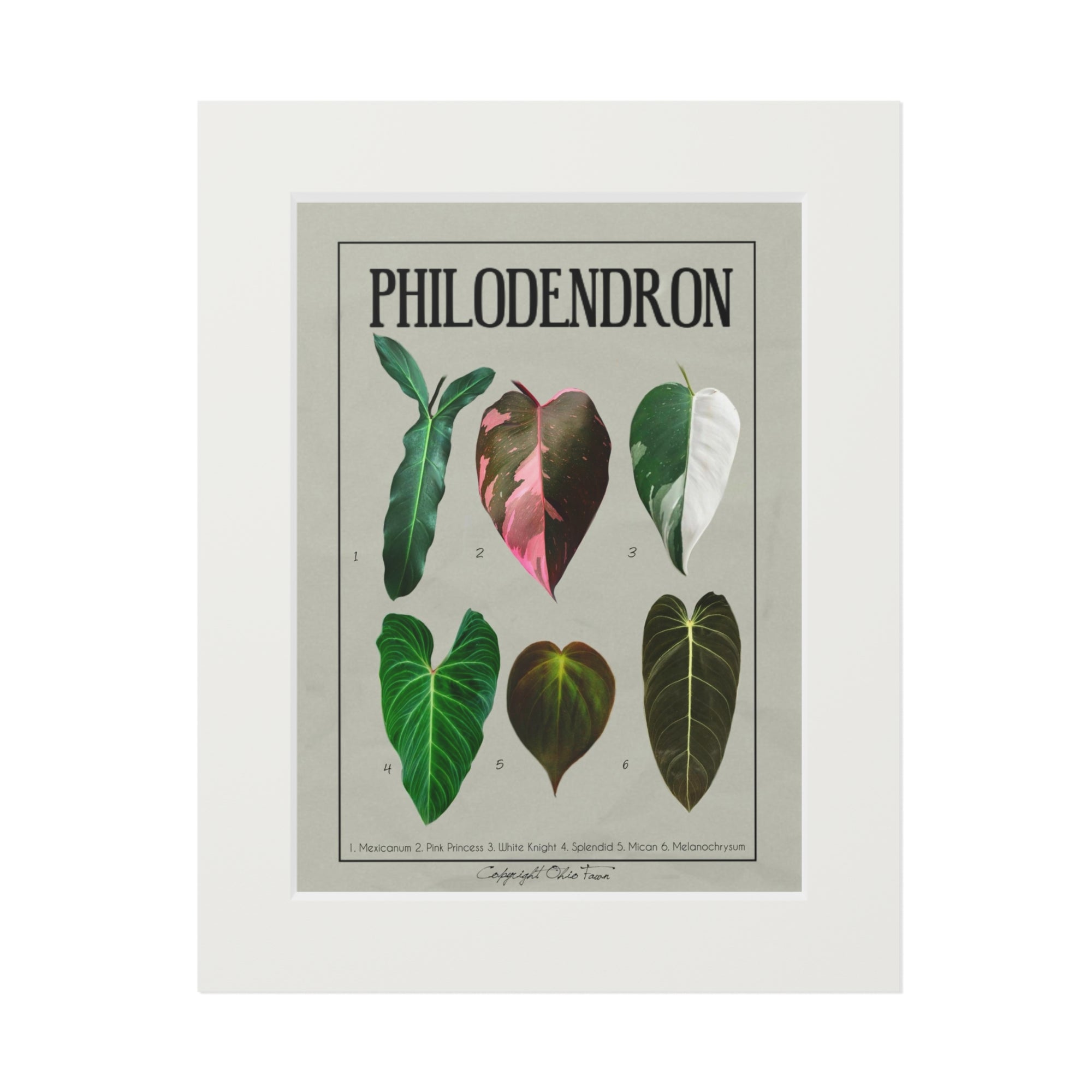 Philodendron Fine Art Print 'Sheet 3'