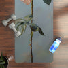 Elegant Rose Yoga Mat