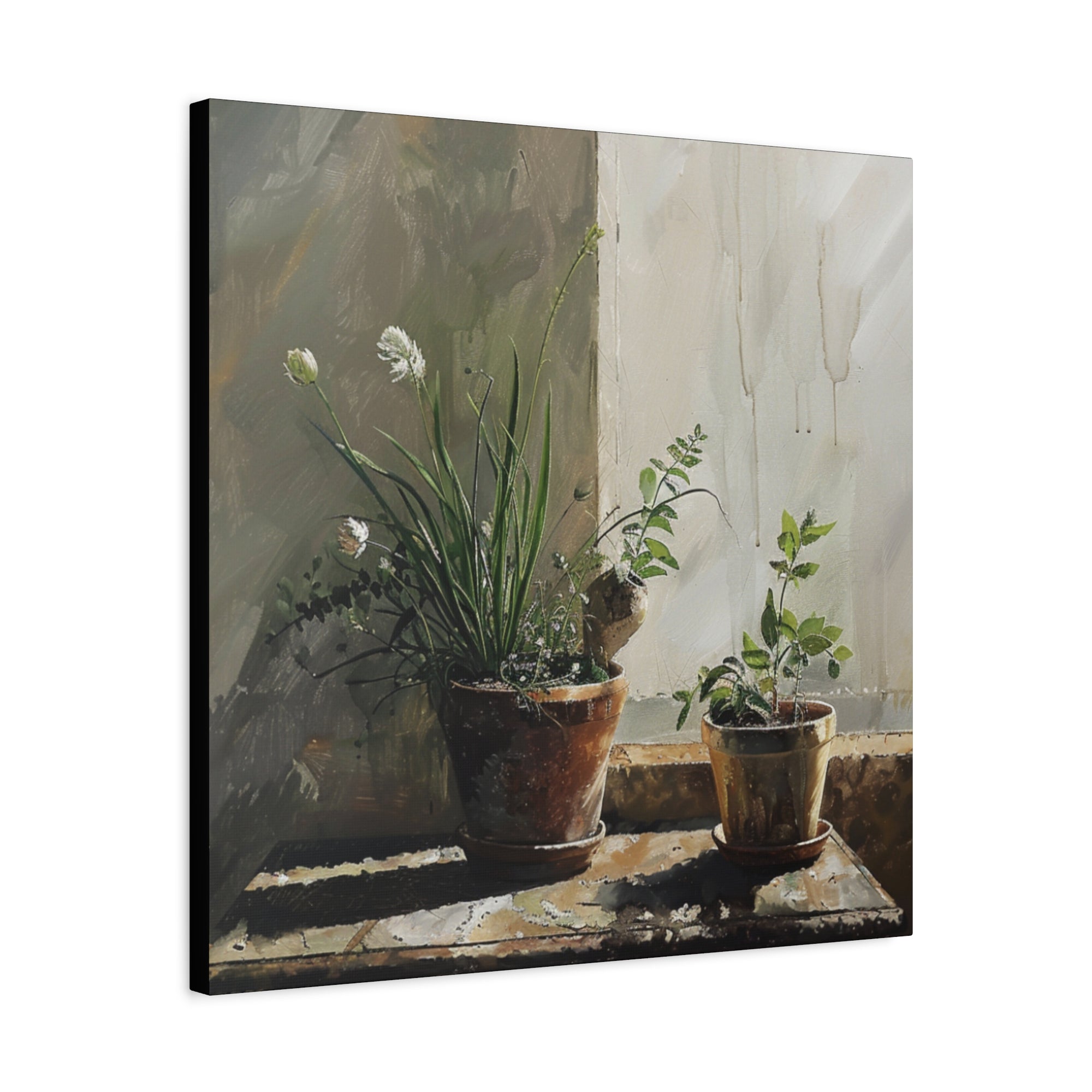 Rustic Morning Canvas Print