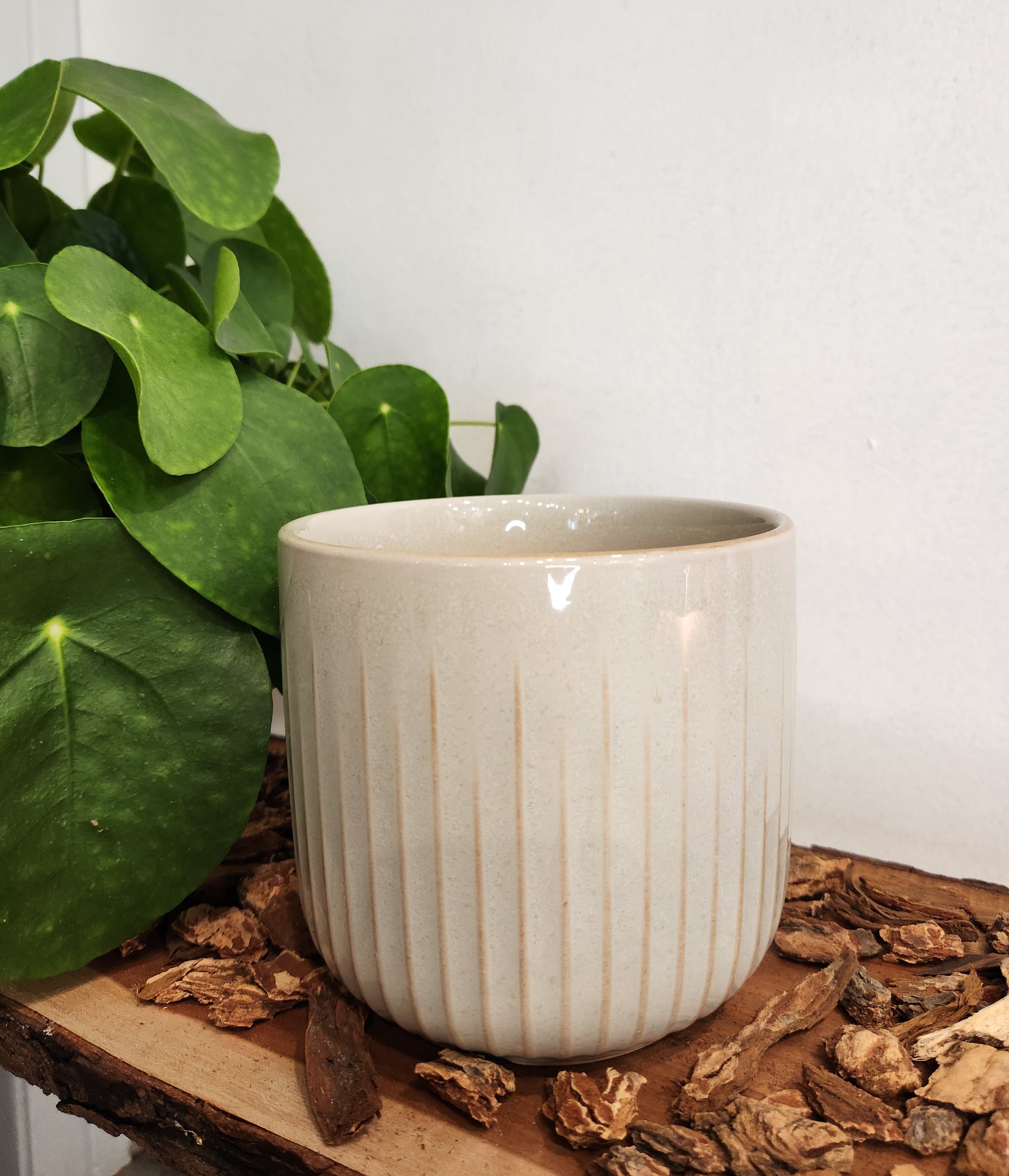 6.5" Textured Ceramic Planter