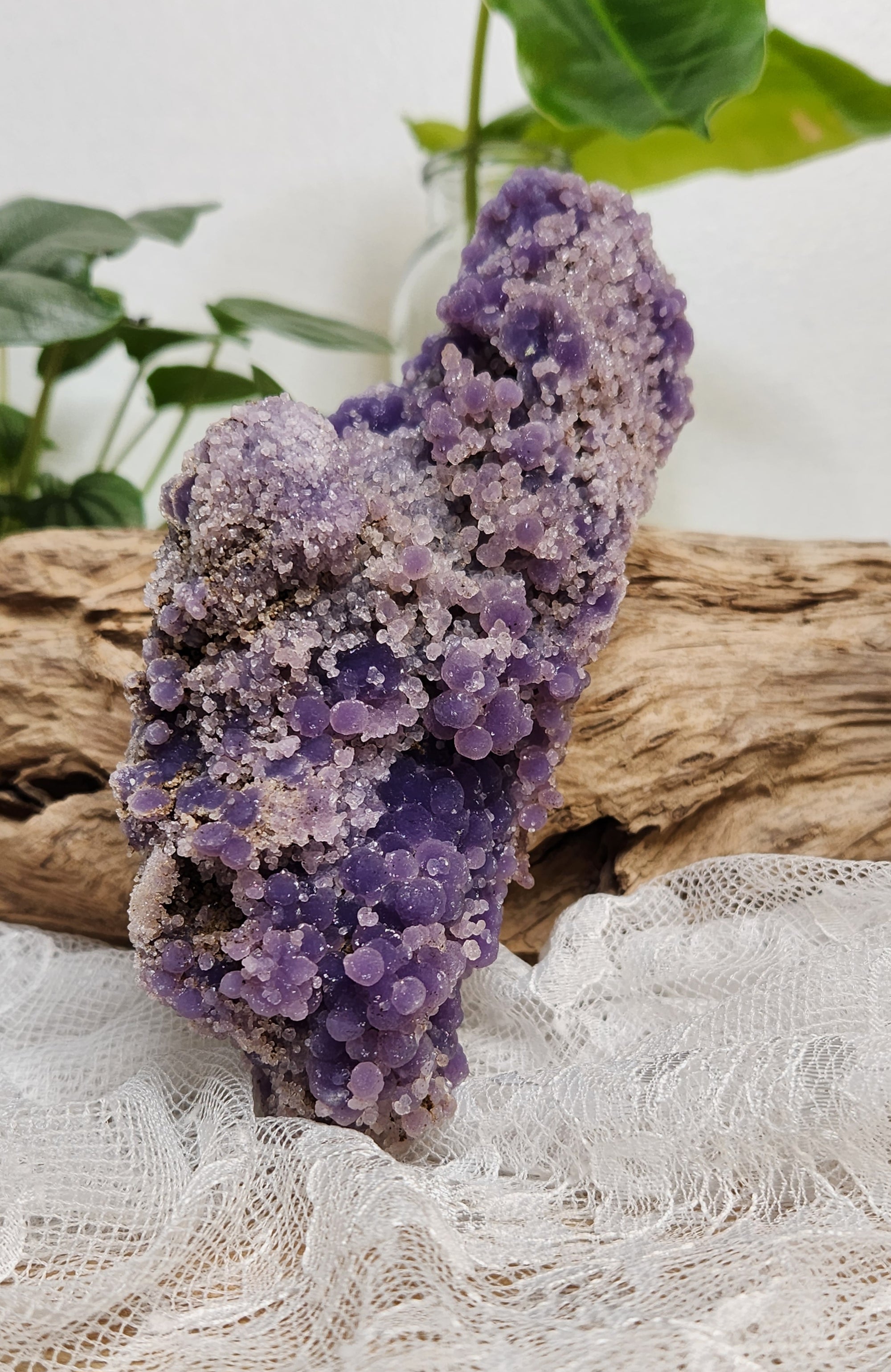 Grape Amethyst #204
