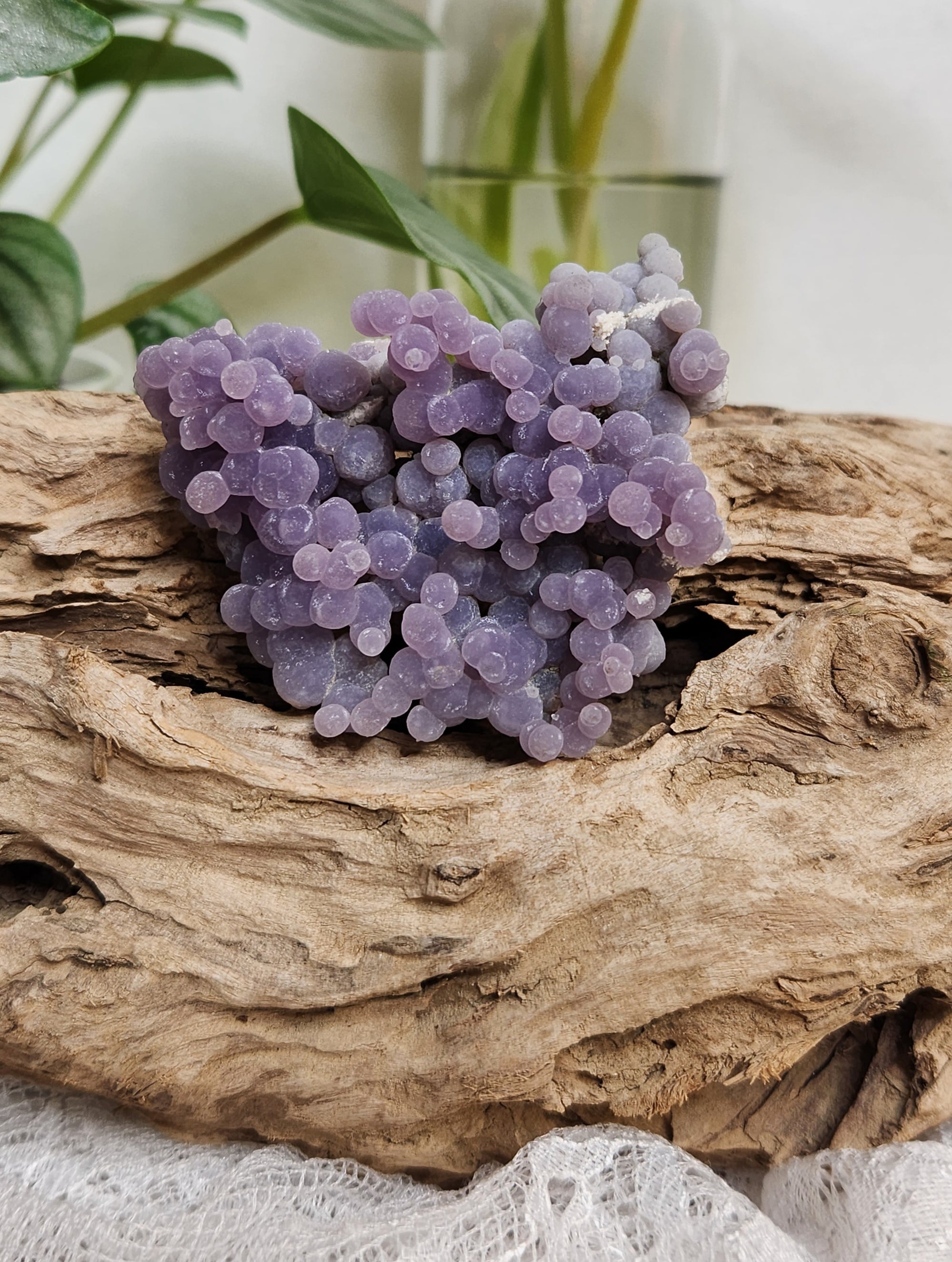 Grape Amethyst #205