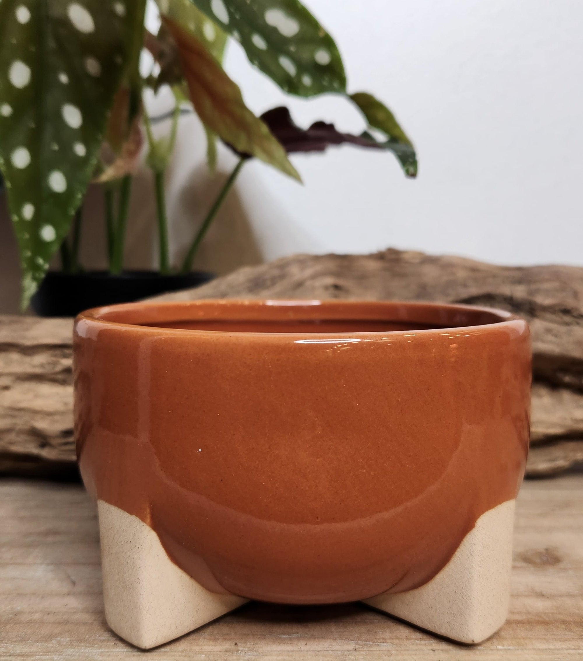 4.5" Orange Footed Planter