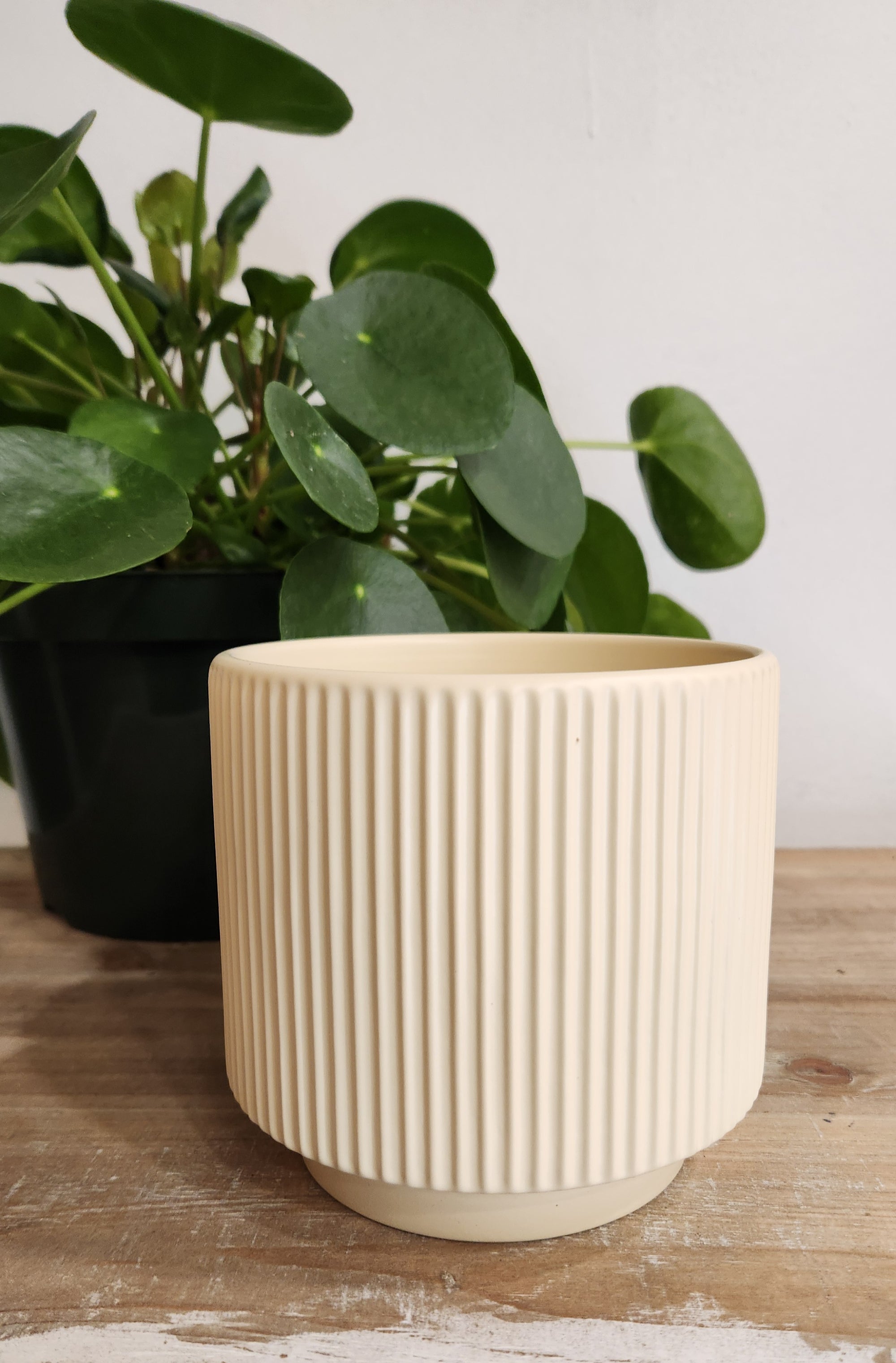 5.5" Cream Ceramic Planter