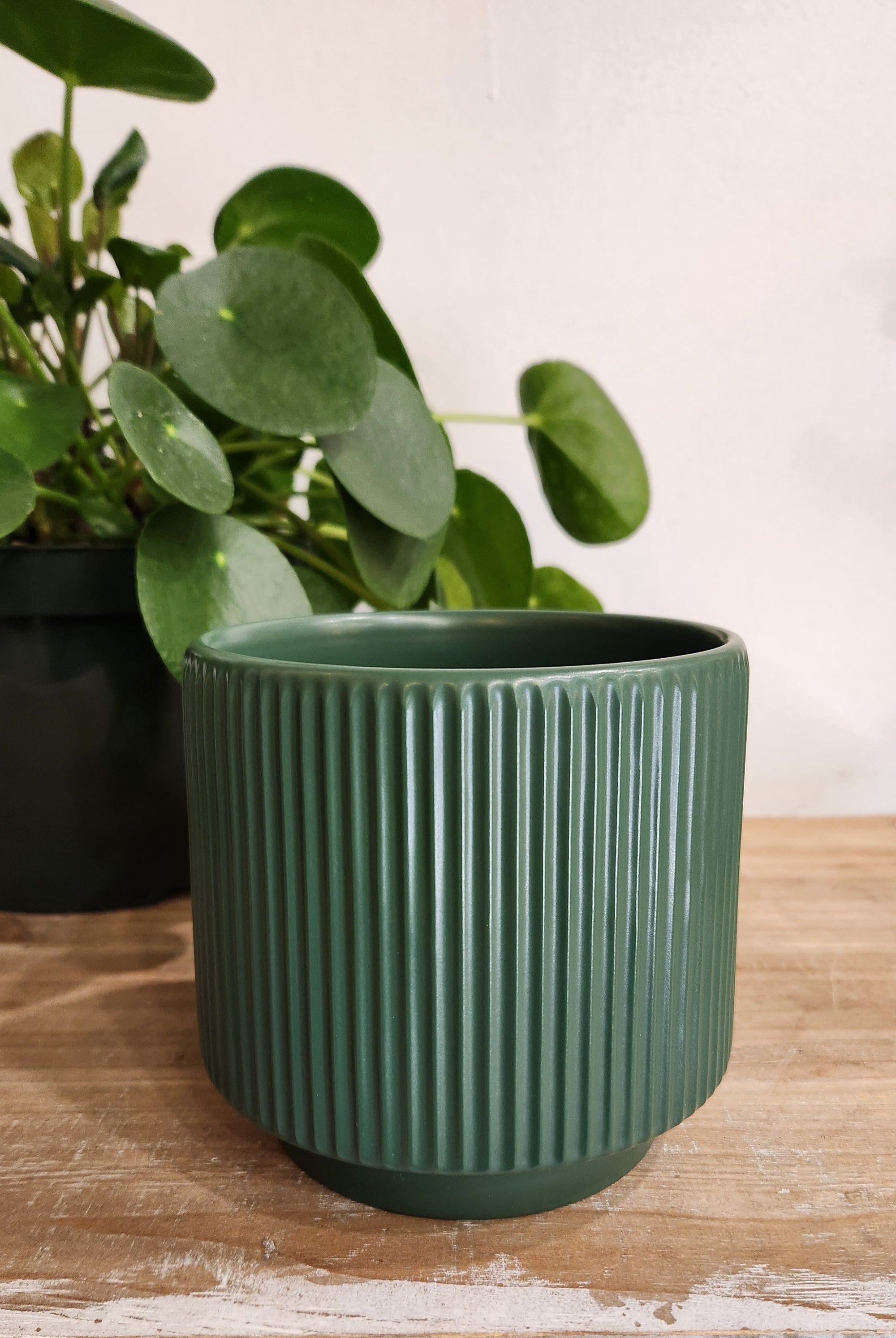 5.5" Forest Green Ceramic Planter