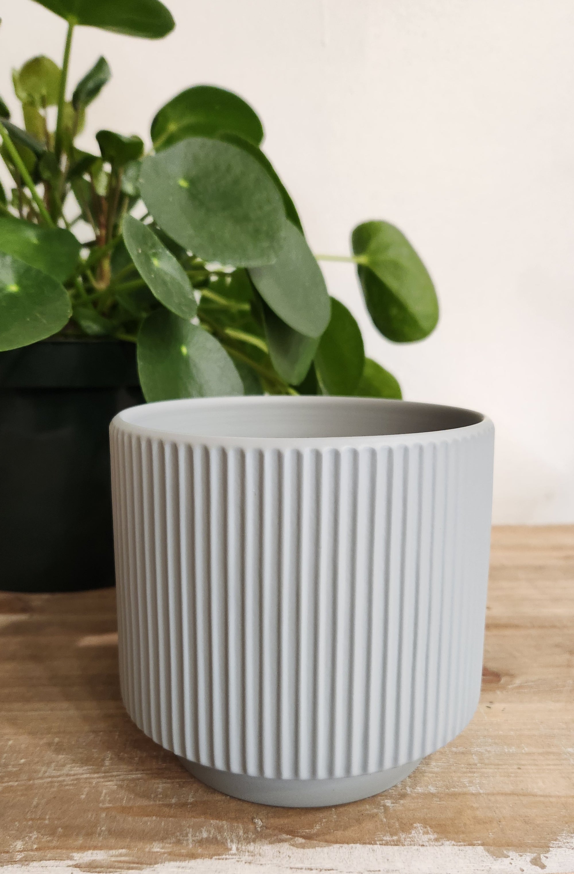 5.5" Gray Ceramic Planter