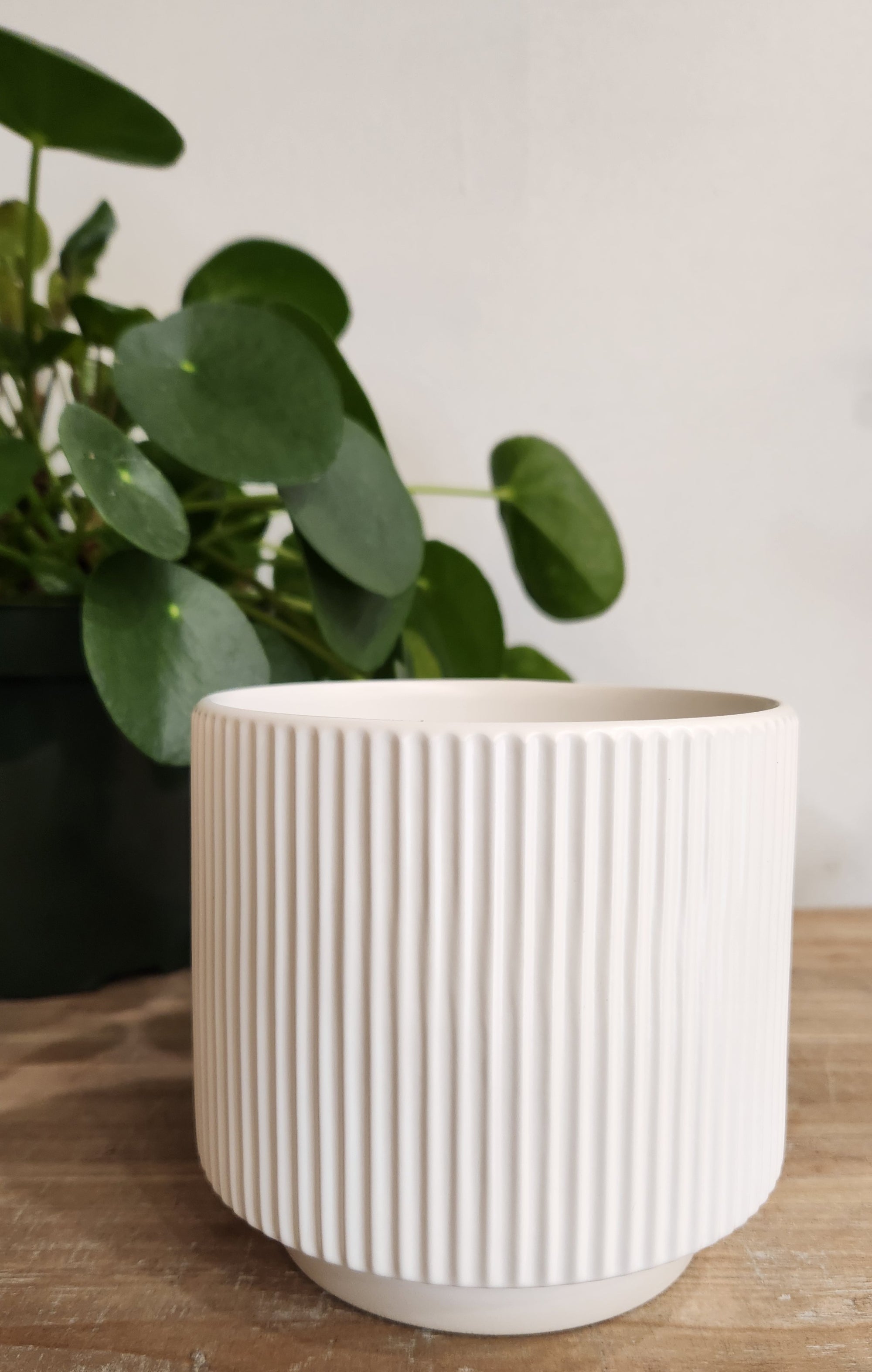 5.5" White Ceramic Planter #11