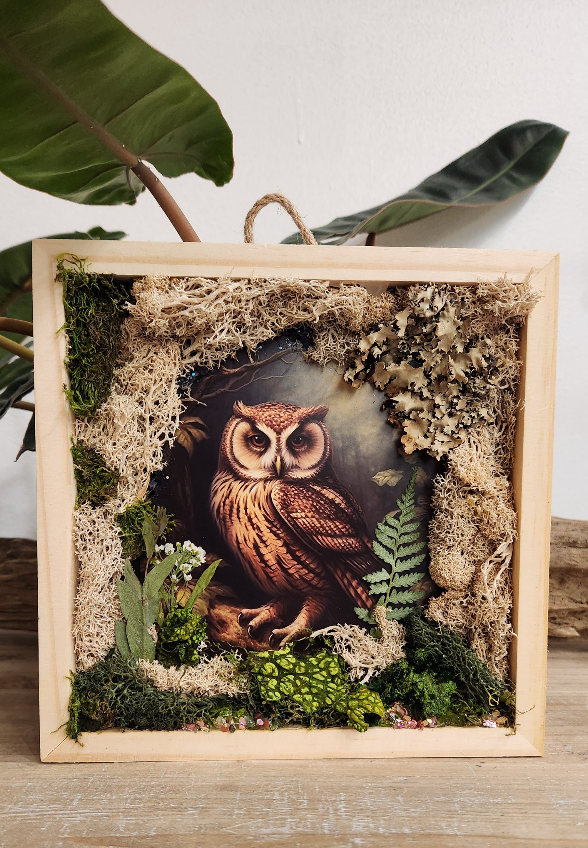 Scrapbook Frame Wall Art 'The Owl'