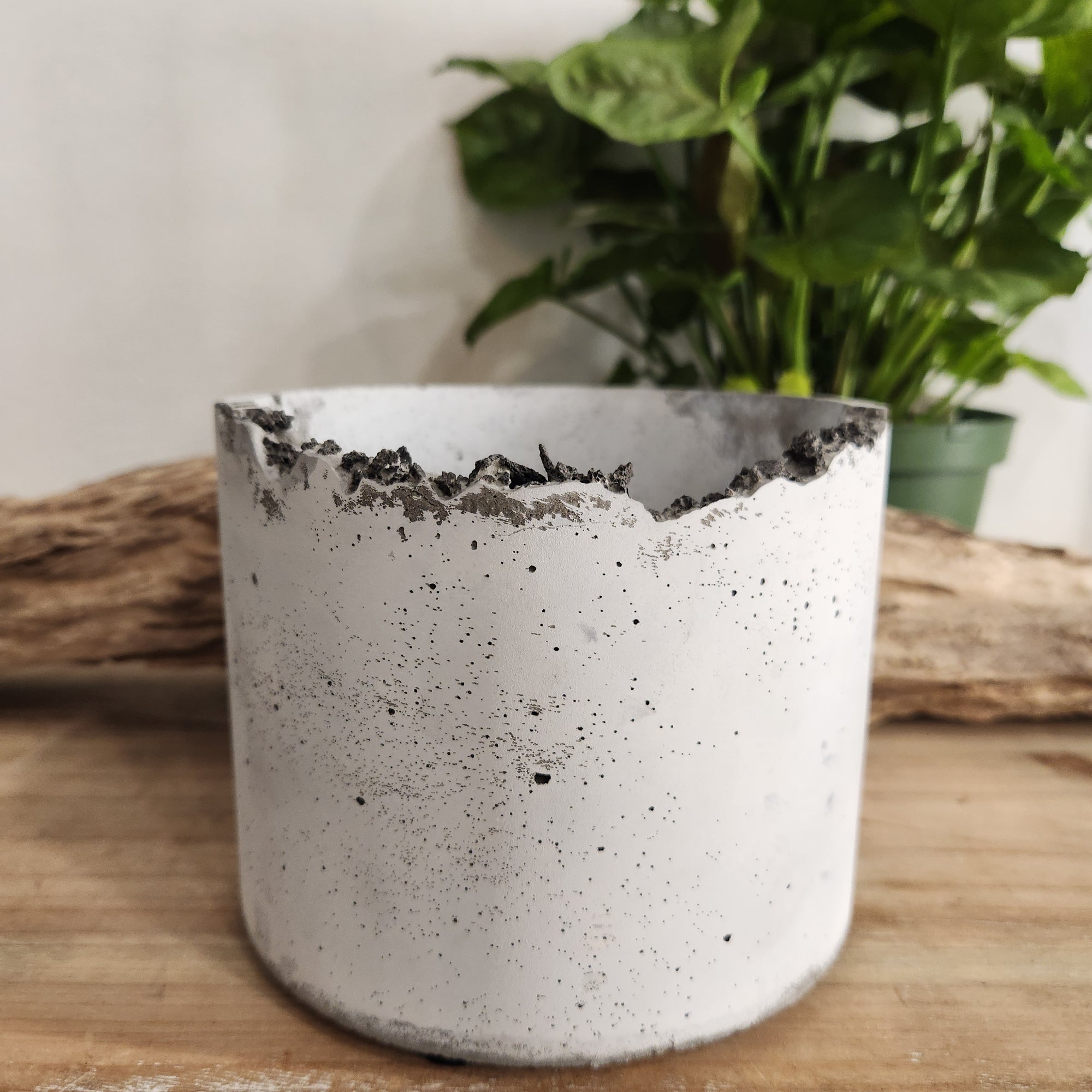 6" Lacuna Mortar Planter #55