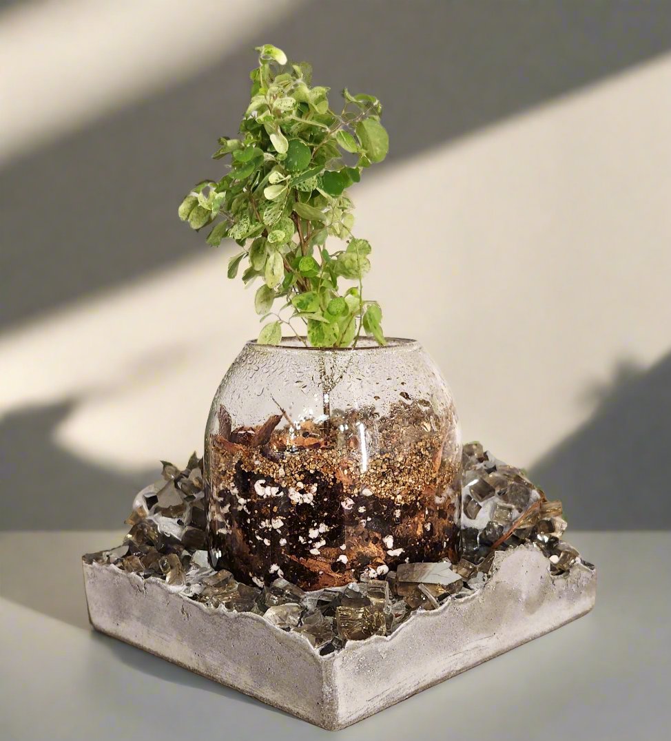 Lacuna Terrarium Block