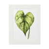 Be Leaf Art Print