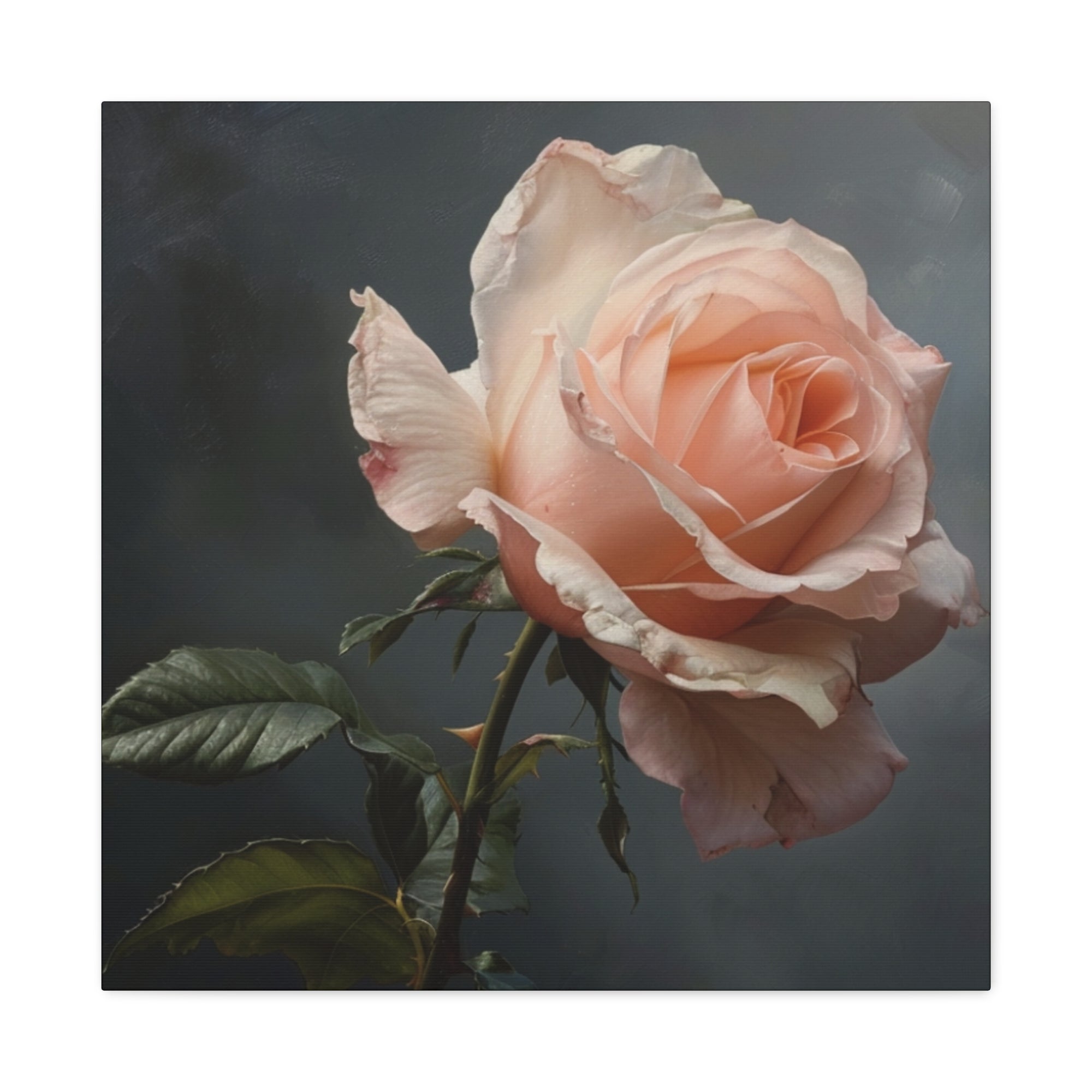 Peach Rose Canvas Print