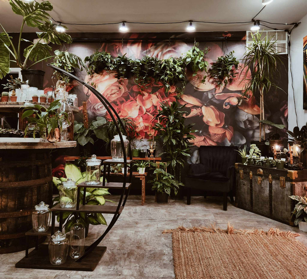 Terrarium Bar + Botanical Gift Shop VORA + VINE