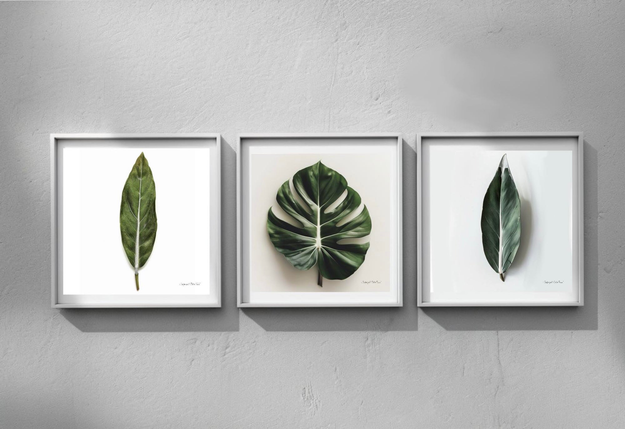 Three Leaf Set | Digital Download