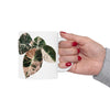 Black Pink Velvet Alocasia Coffee Mug