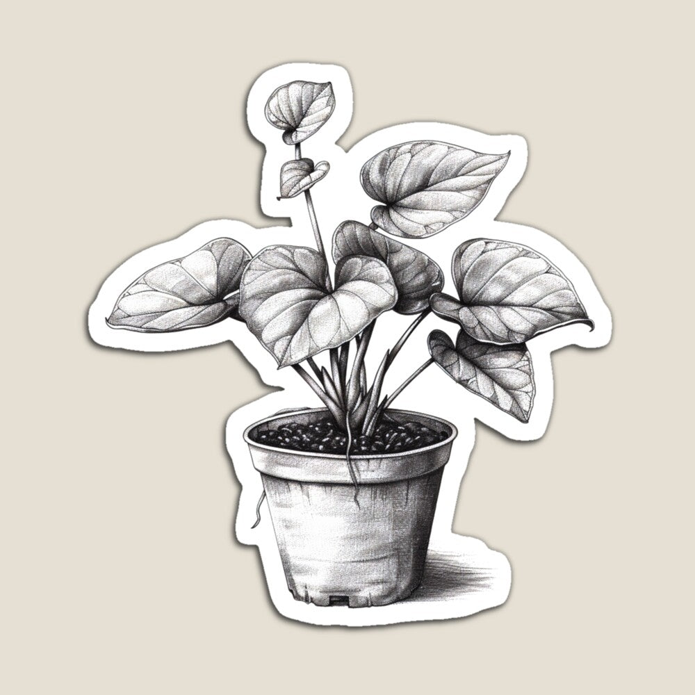 Anthurium Magnet