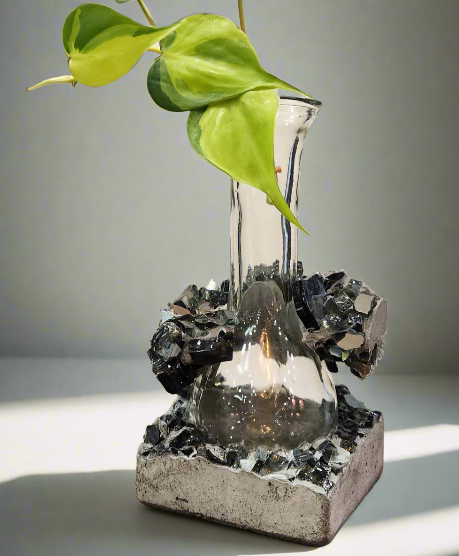Lacuna Propagation Block #511