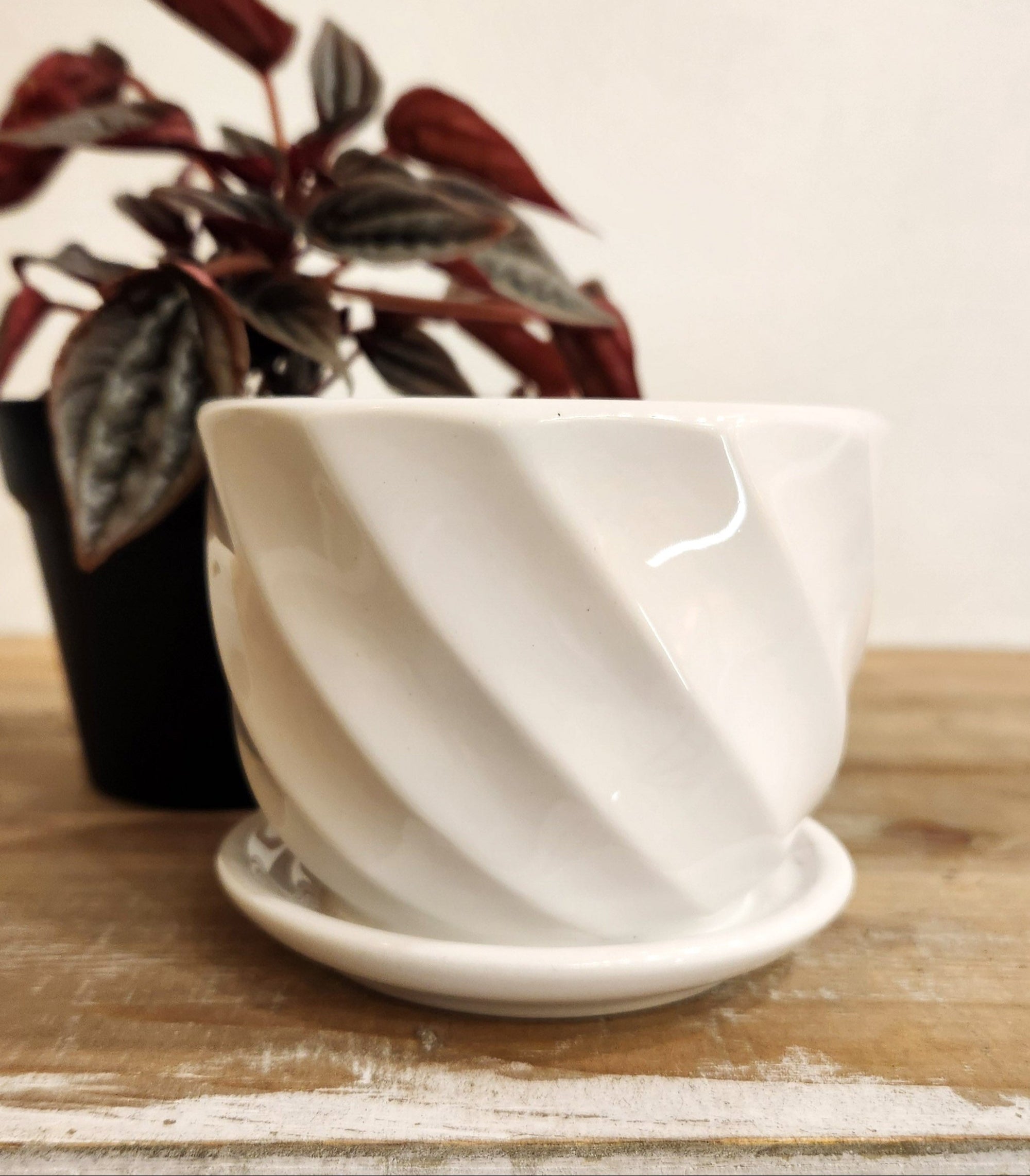 4.5" White Ceramic Planter