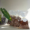 Vora + Vine Small Substrate Bag