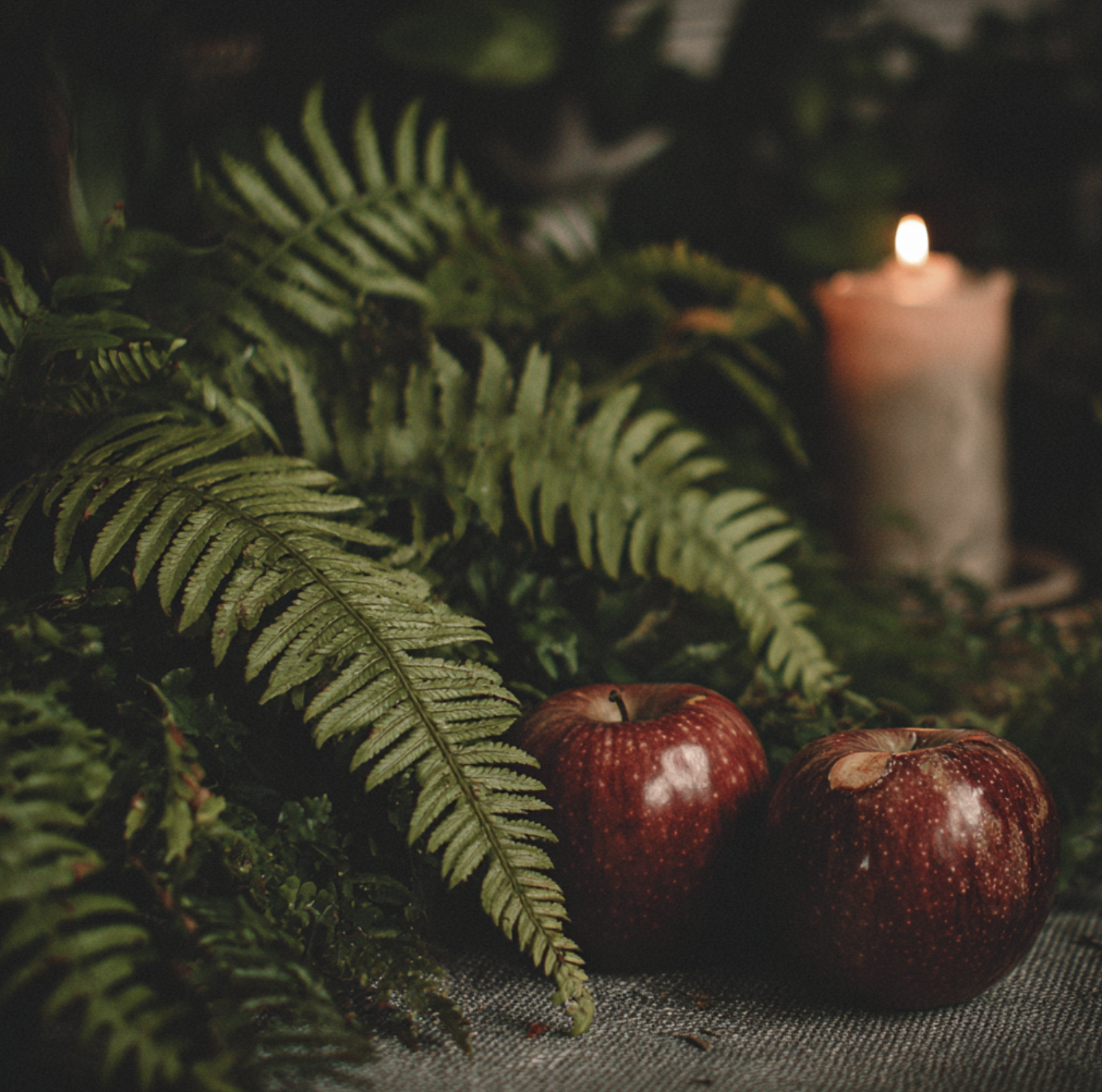 Fern & Apples  | Candle