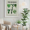 Philodendron Identification Art Sheet 2