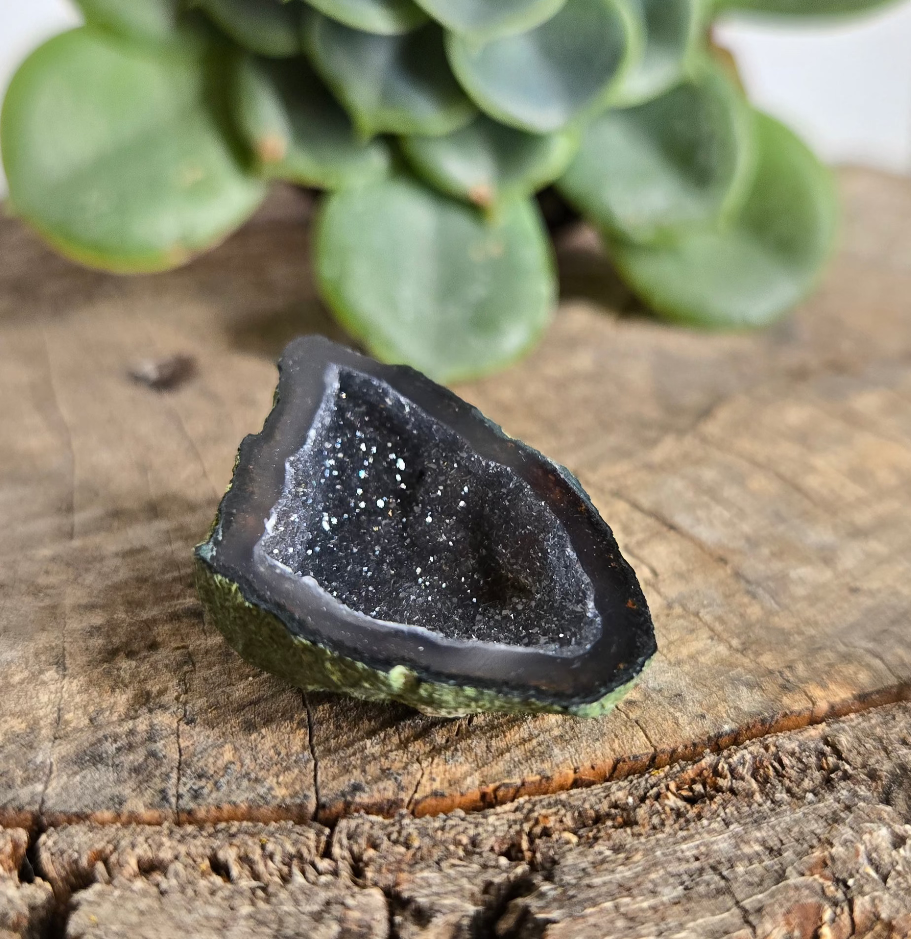 Tabasco Geode Large (Illianite Geode)