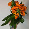 4" Ornithogalum Dubium