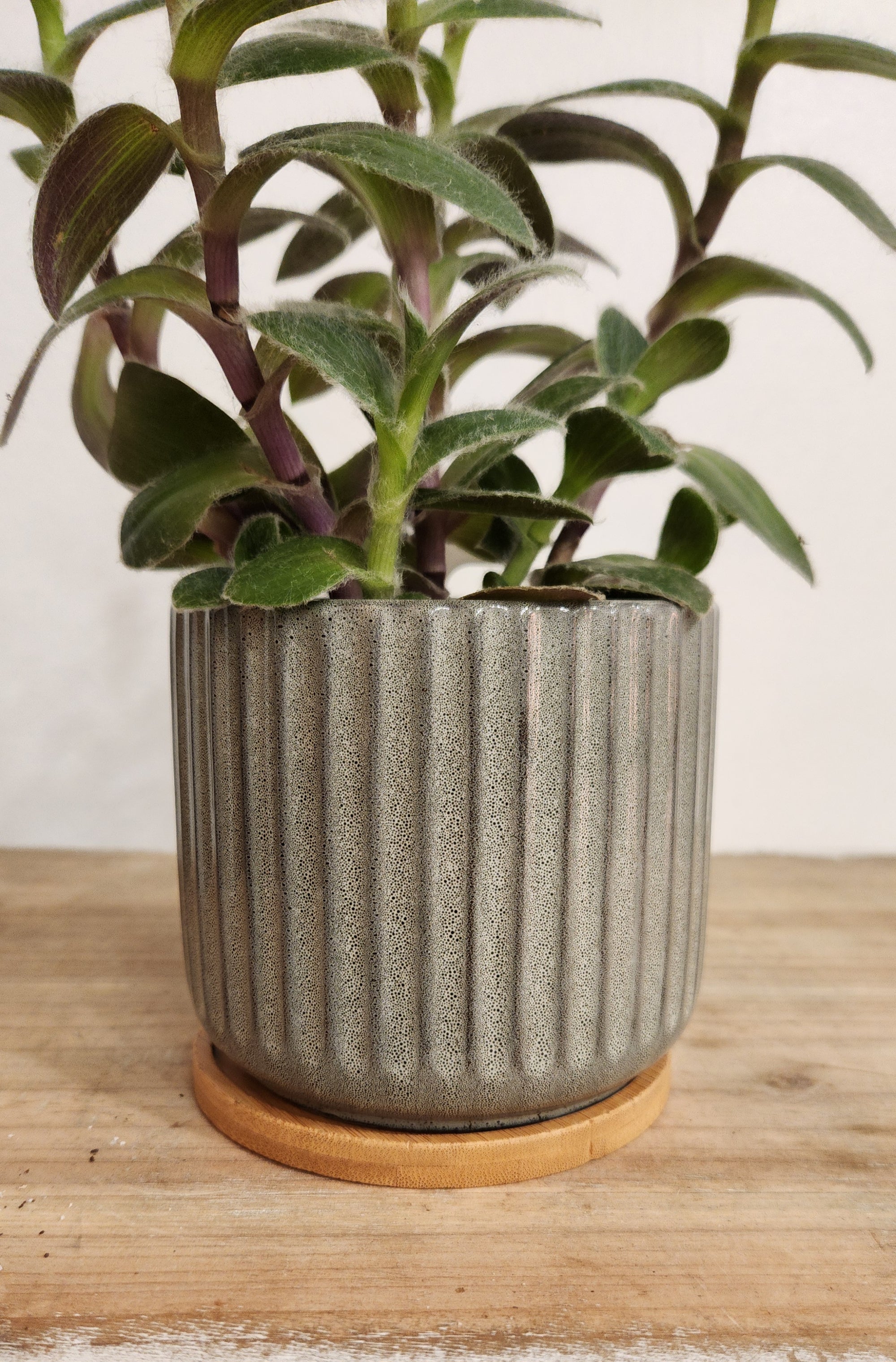 5.5" Gray Speckled Planter