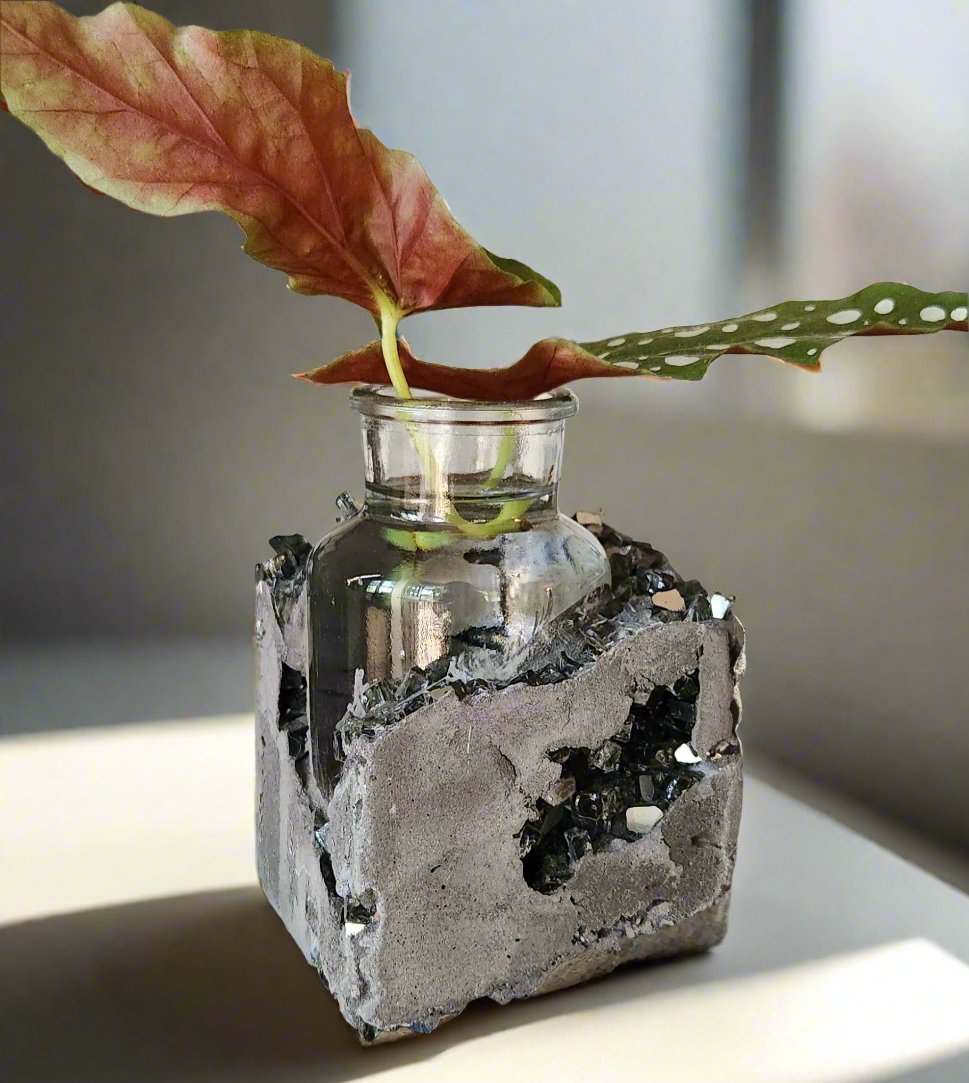 Lacuna Propagation Block #812