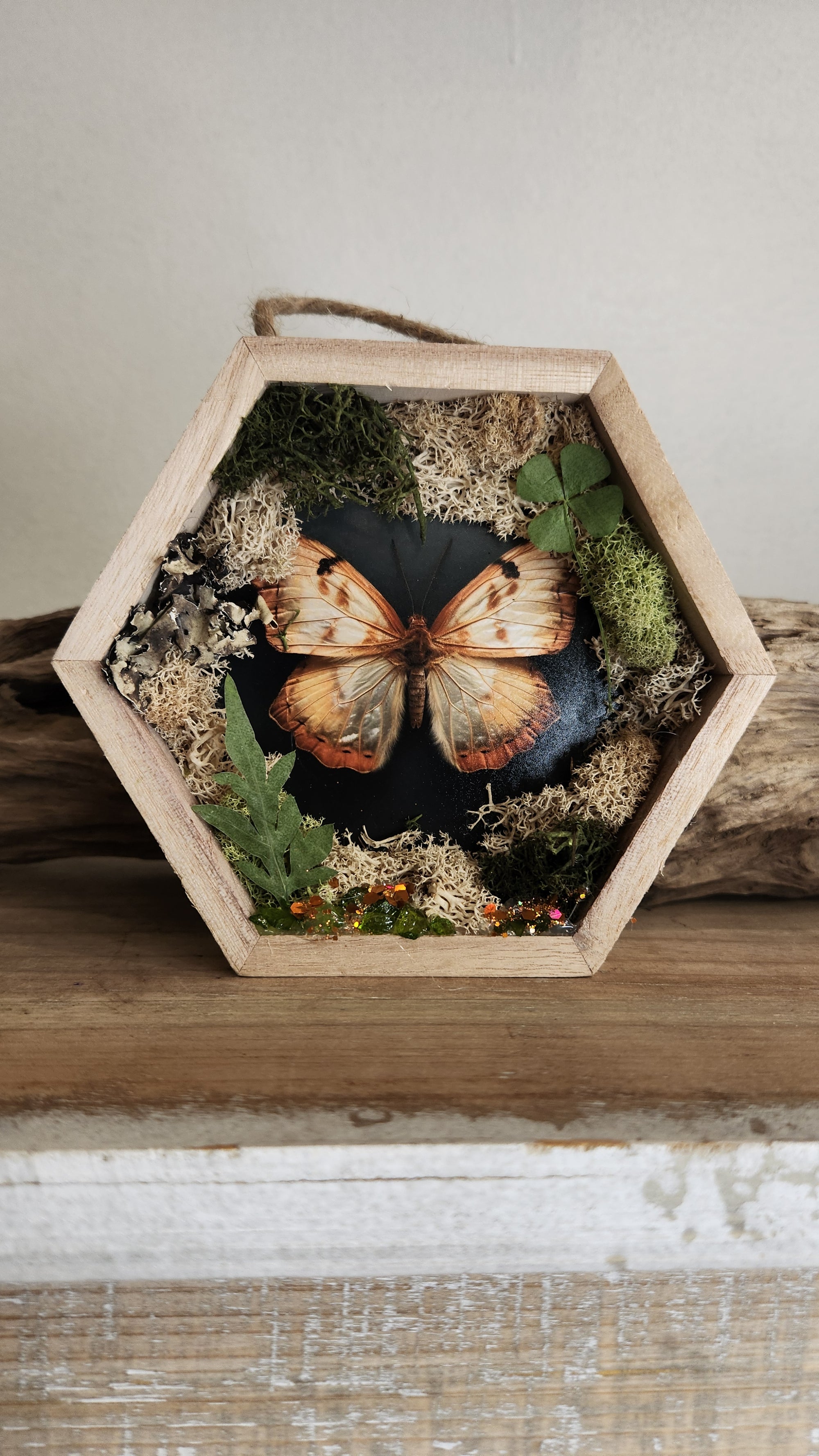 Scrapbook Honeycomb 'Wings 2'
