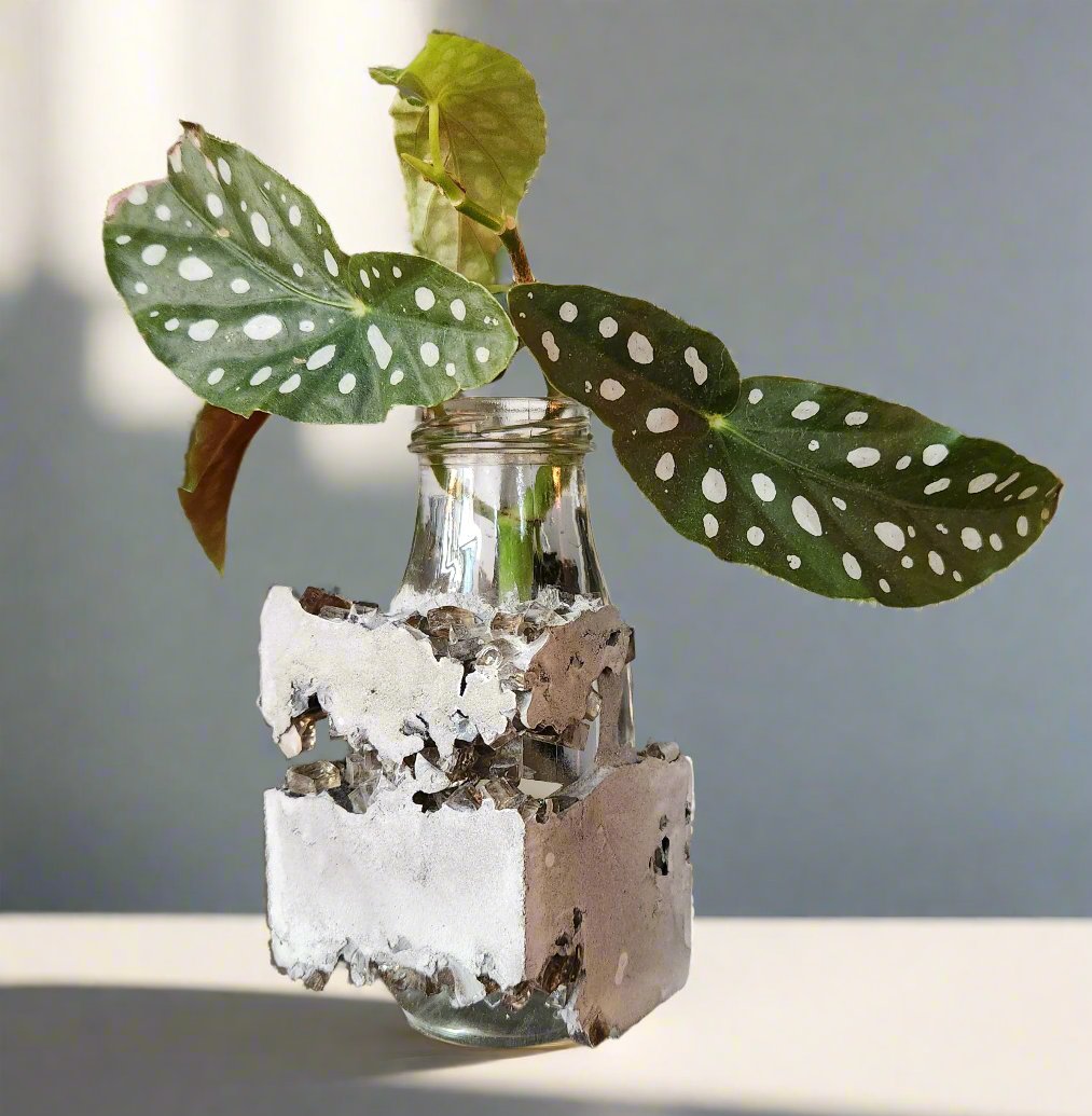 Lacuna Propagation Block #813