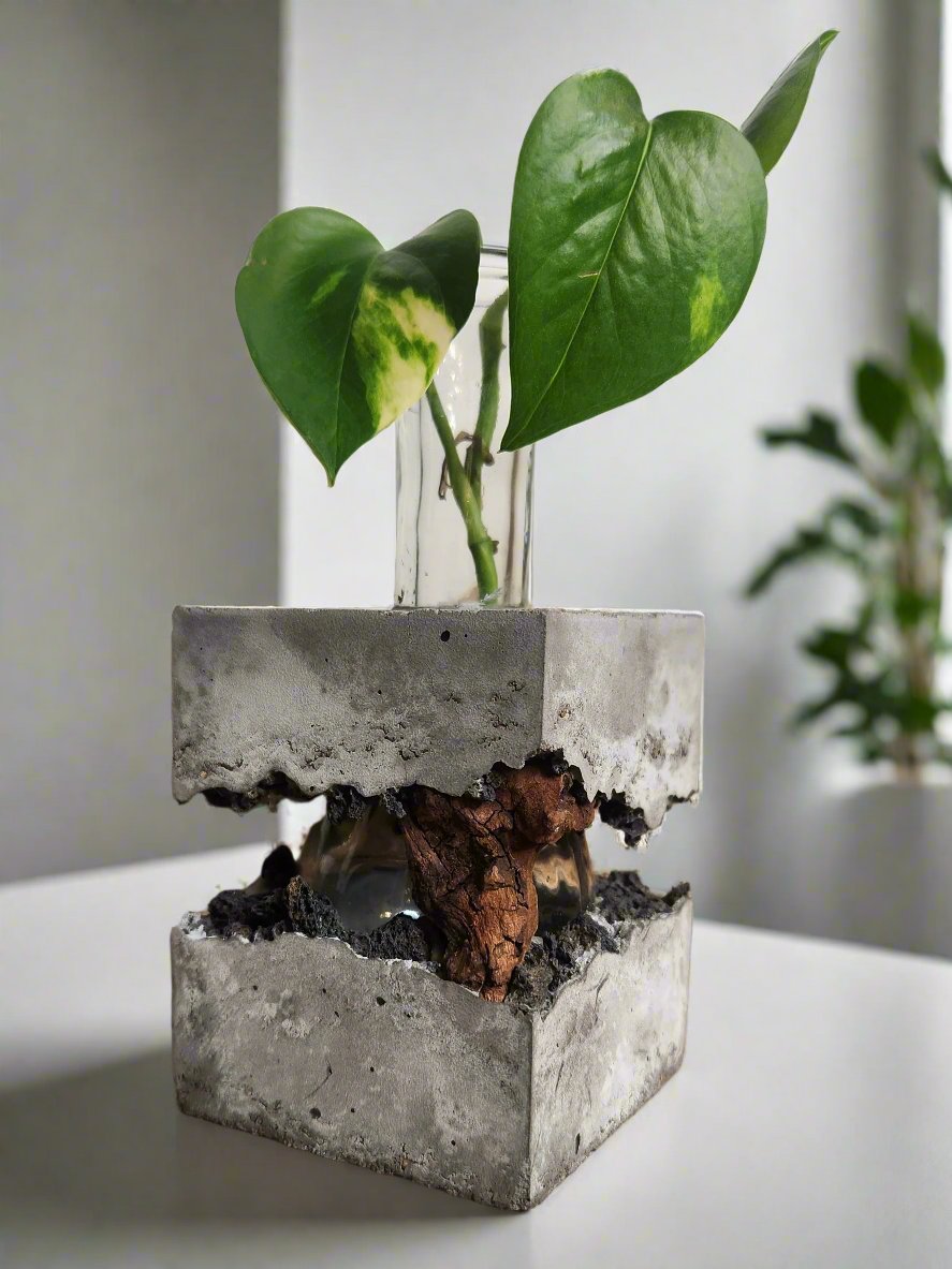 Lacuna Propagation Block #113