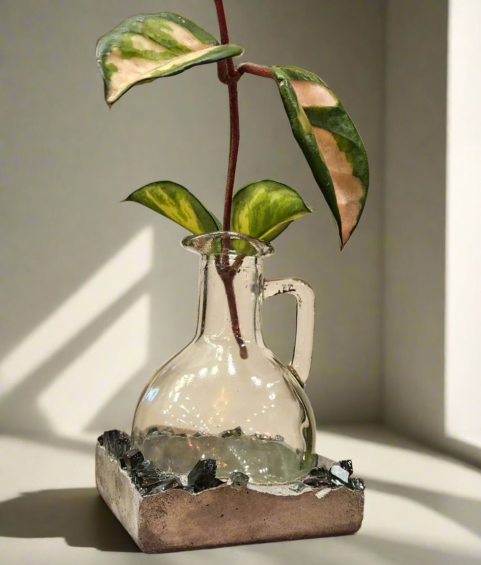 Lacuna Propagation Block #512