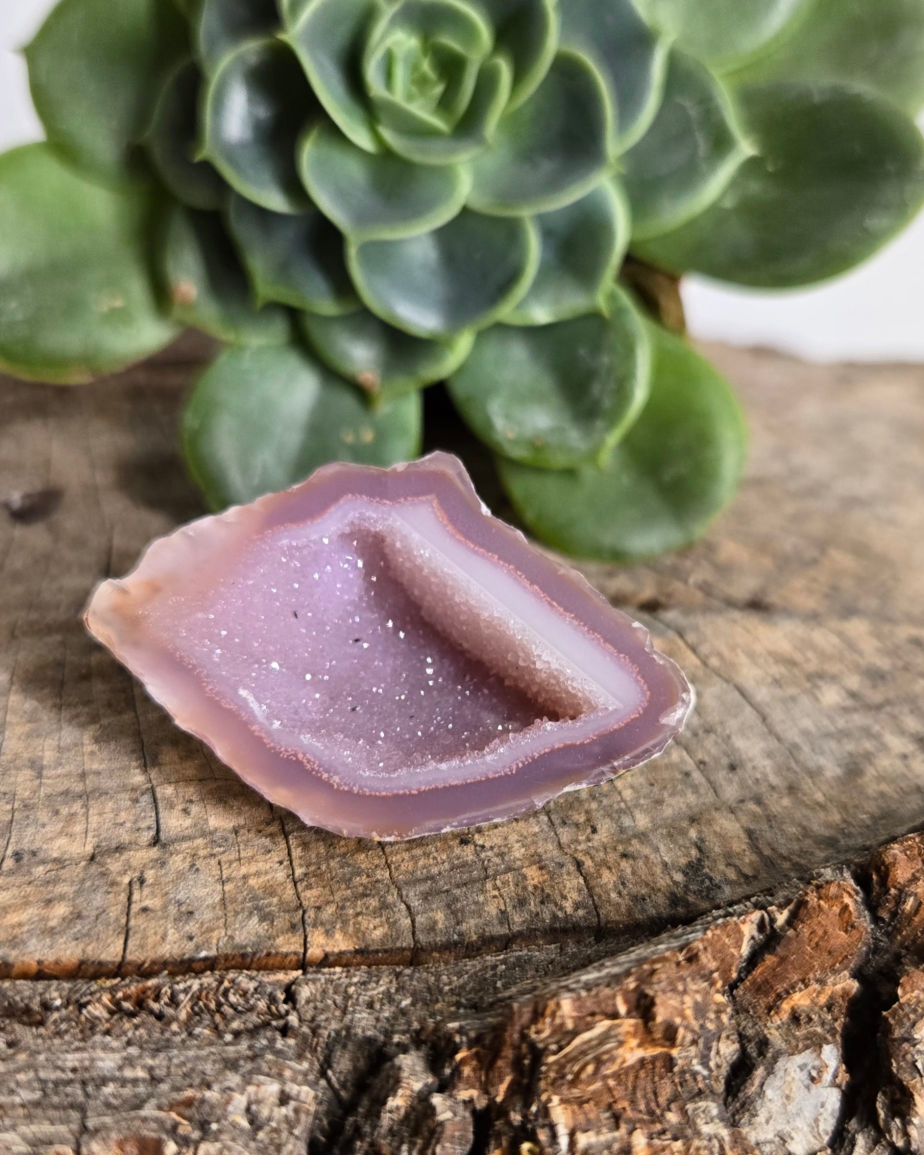 Pink Tabasco Geode (Illianite Geode)