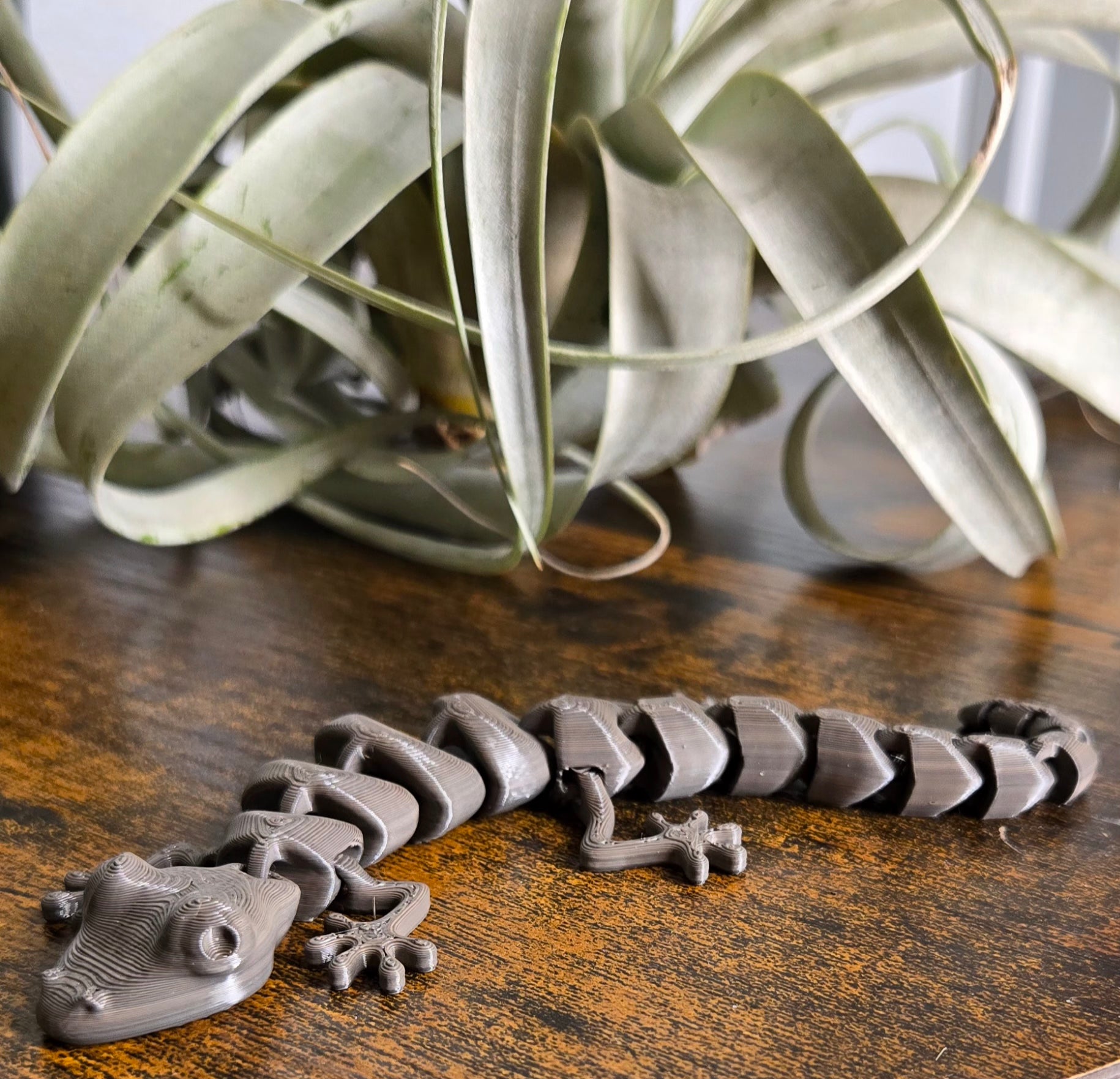 Brown Printed Lizard Flexi