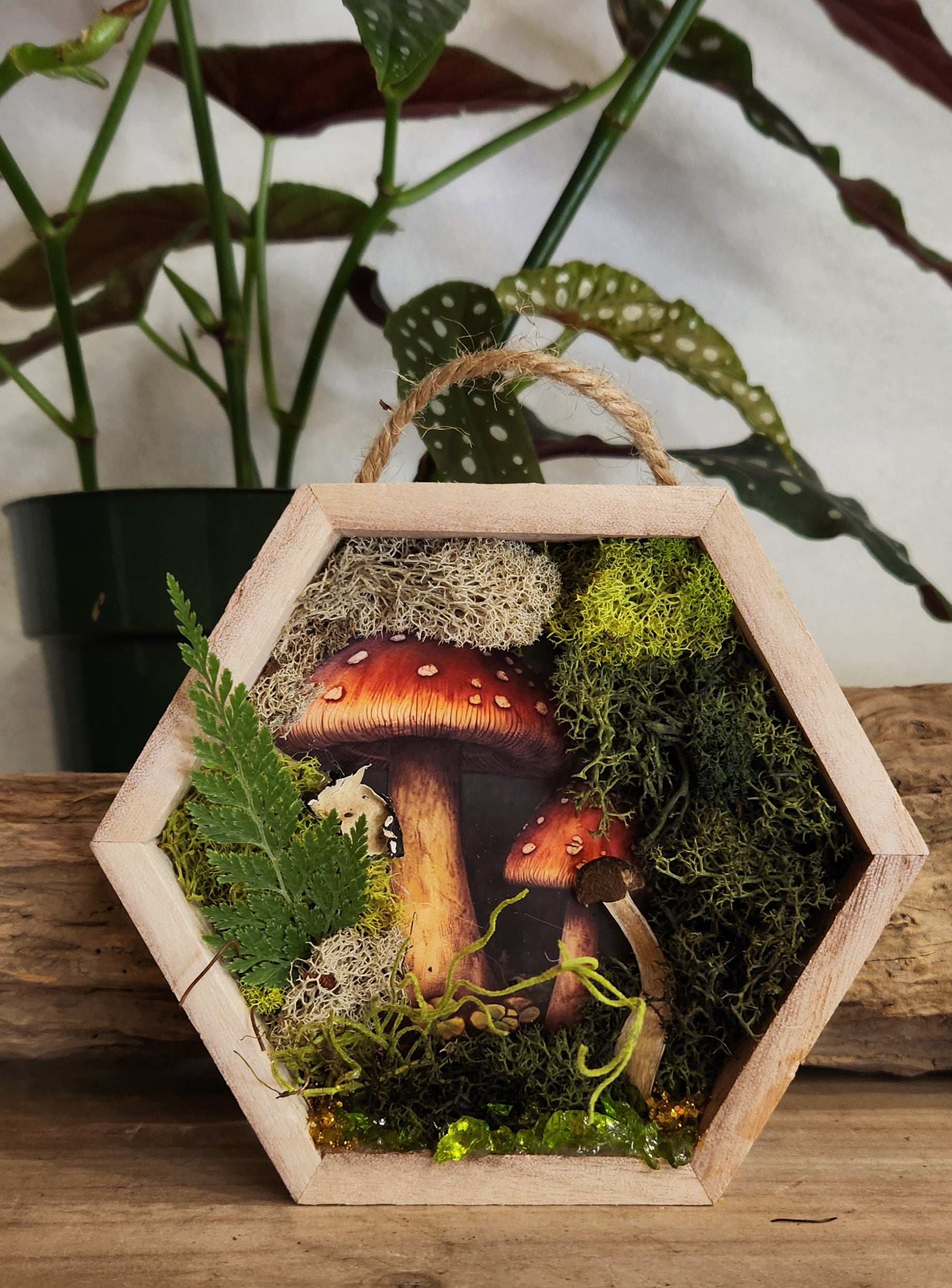 Scrapbook Honeycomb 'Mushroom ll'