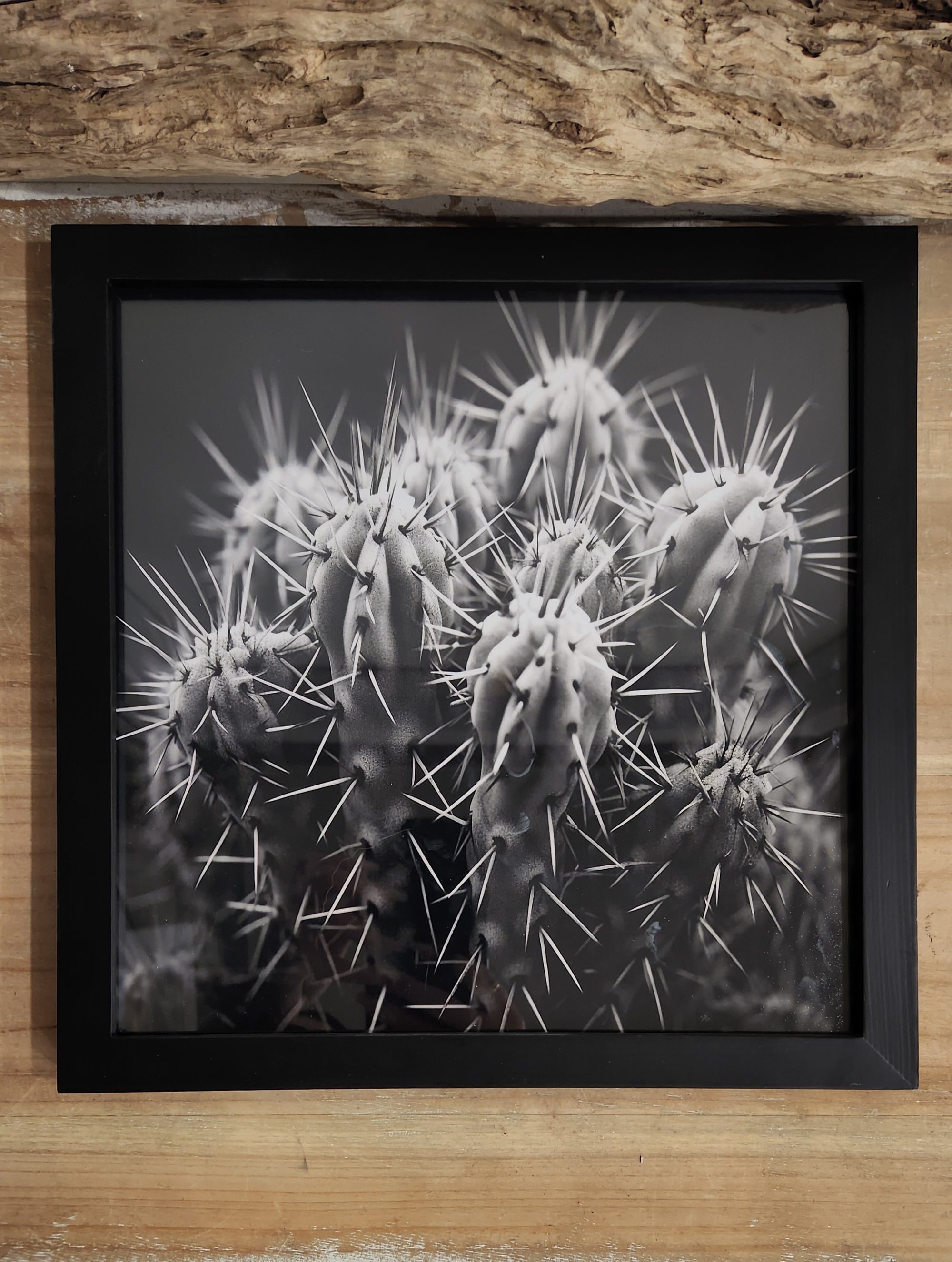 Cacti Prickle Art Print