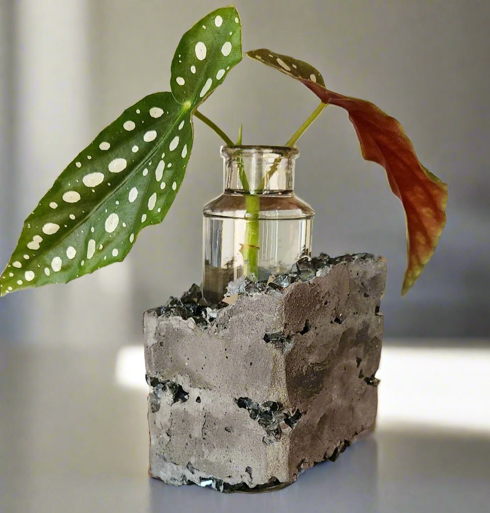 Lacuna Propagation Block #814