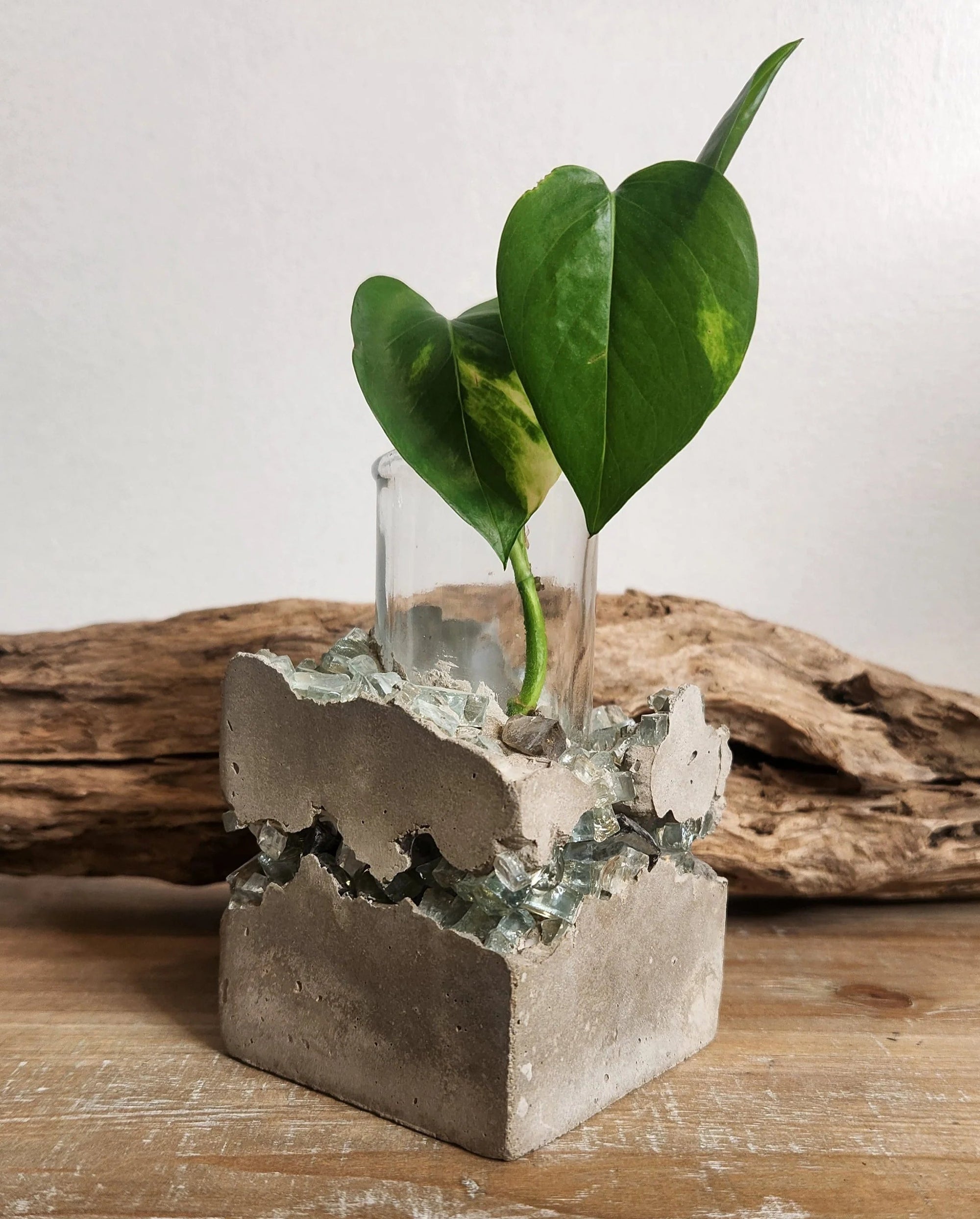 Lacuna Propagation Block #119