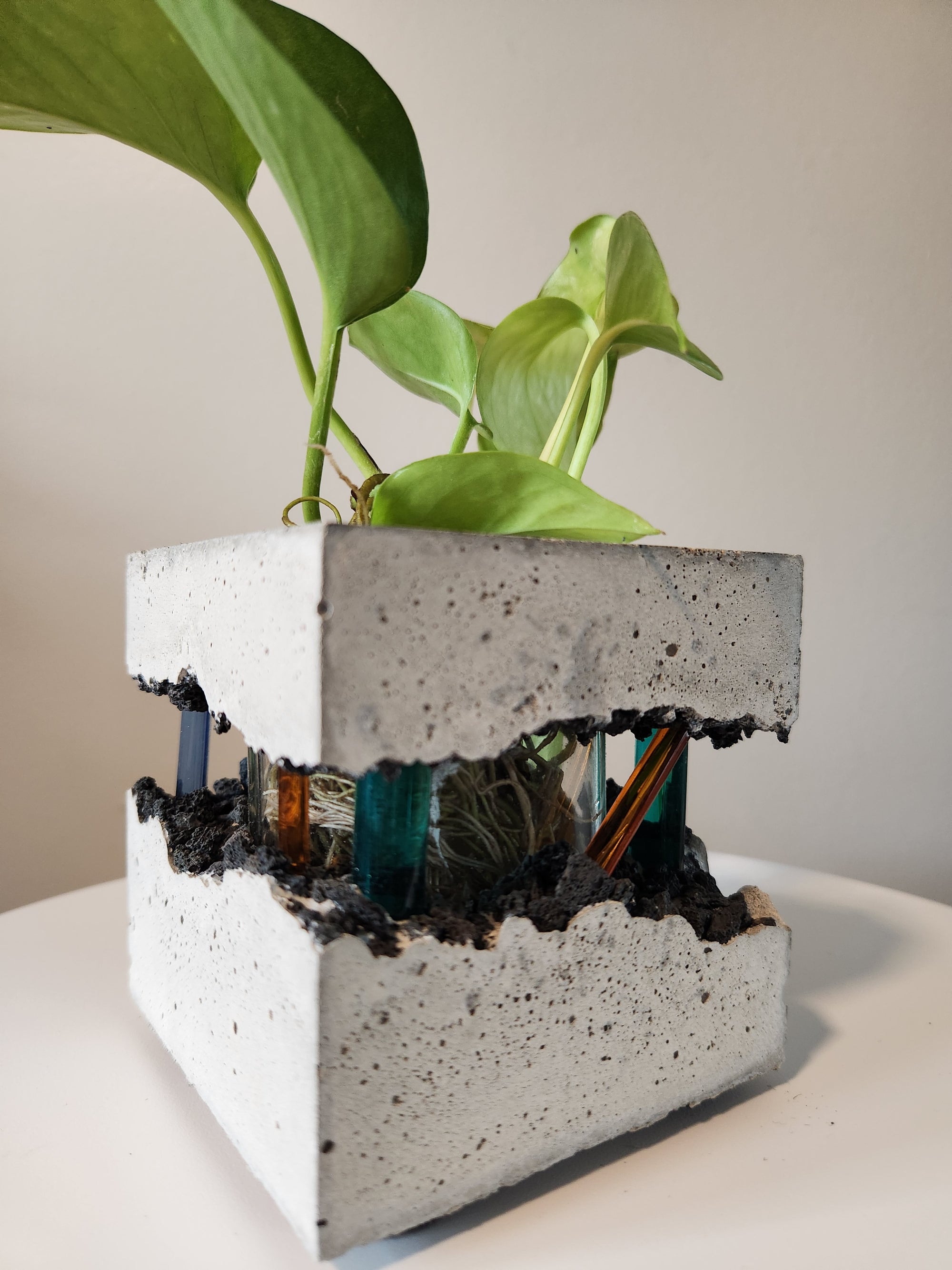 Lacuna Propagation Block #723
