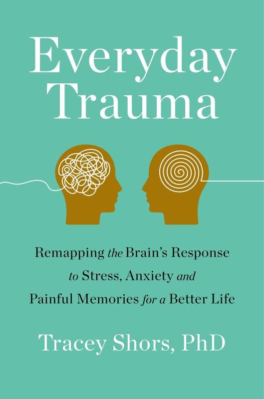 Everyday Trauma: Remapping the Brain's Response to Stress